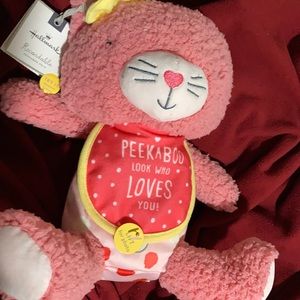 Pink Stuffed Kitty Toy with Frame 🐱